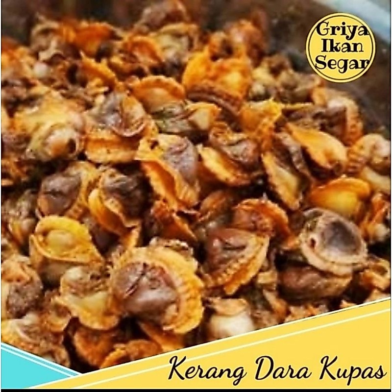 Kerang Dara Kupas Fresh