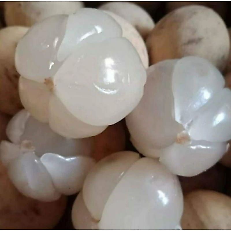 DUKU PALEMBANG MANIS FRESH 1 KG