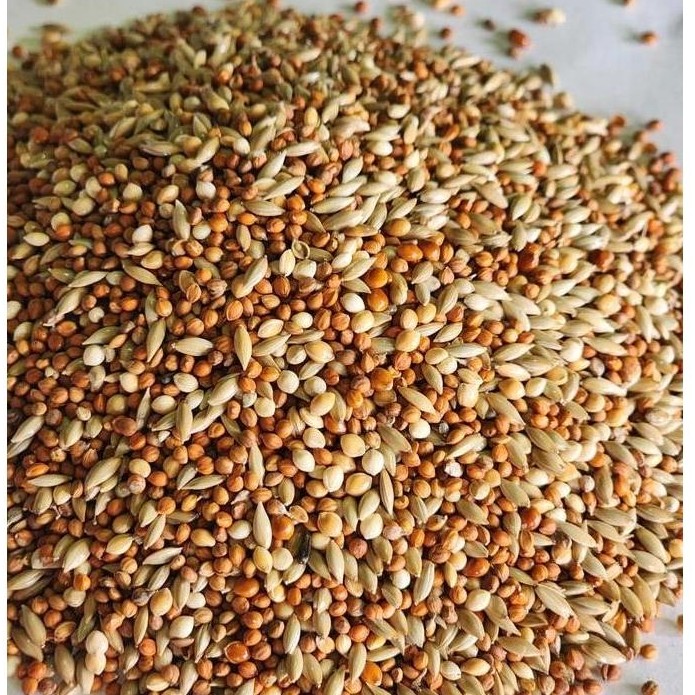 J&J Finch Mix (FM) (1KG) Pakan Burung Emprit, Gold Amadine, Finch
