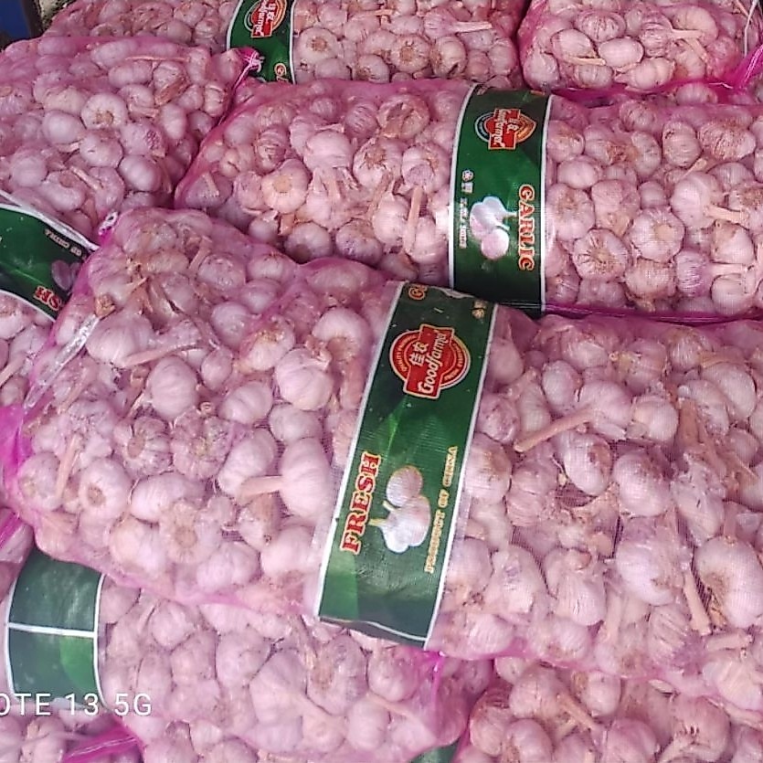 Bawang putih hemat 20 kg