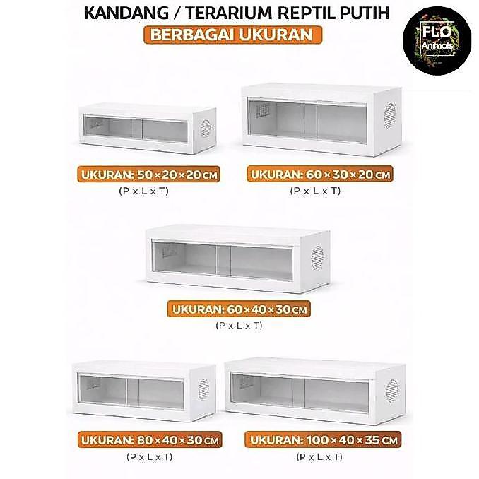 Terarium Reptil Bearded Dragon | Kura Kura Darat | Varanus Murah