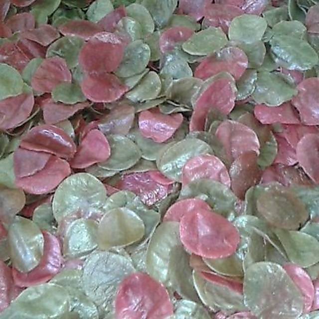 grosir Krupuk mentah opak aci khas cirebon isi 1 kilo pasti ķwalitas baik harga termurah dishopee