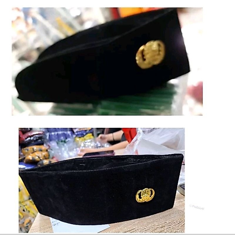 Peci Korpri PNS ASN plus pin
