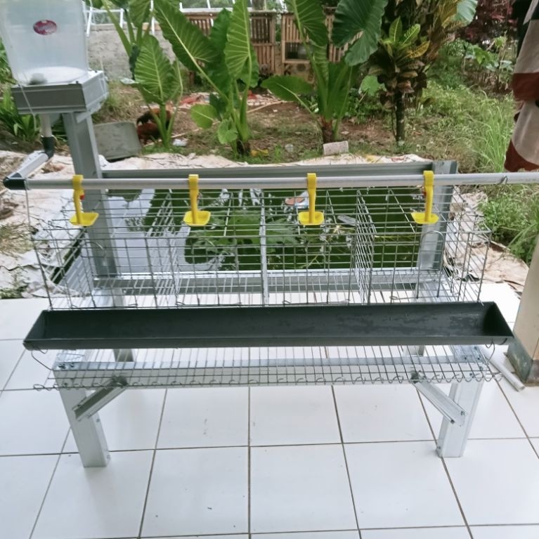 kandang batre ayam petelur  galvanis
