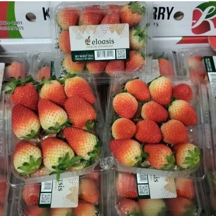 Strawberry Fresh Korea - Strawberry Import Korea - Andira fresh