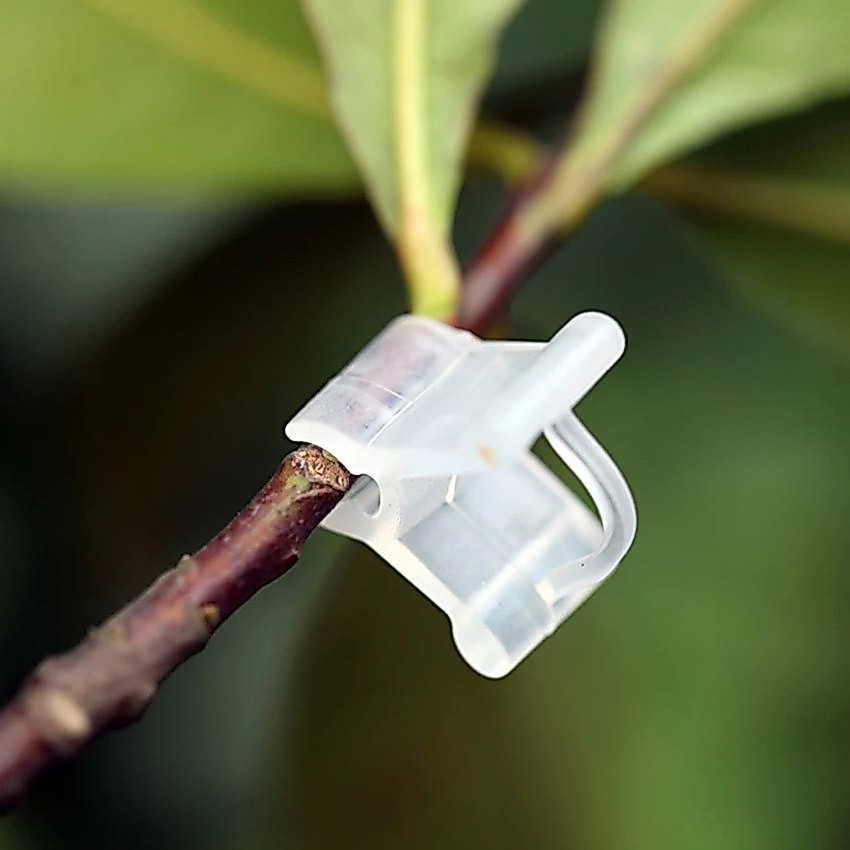 100Pcs Klip Grafting Untuk Tanaman Bunga Grafting Clips Okulasi Sambung Pucuk Grafting Klip Cangkok