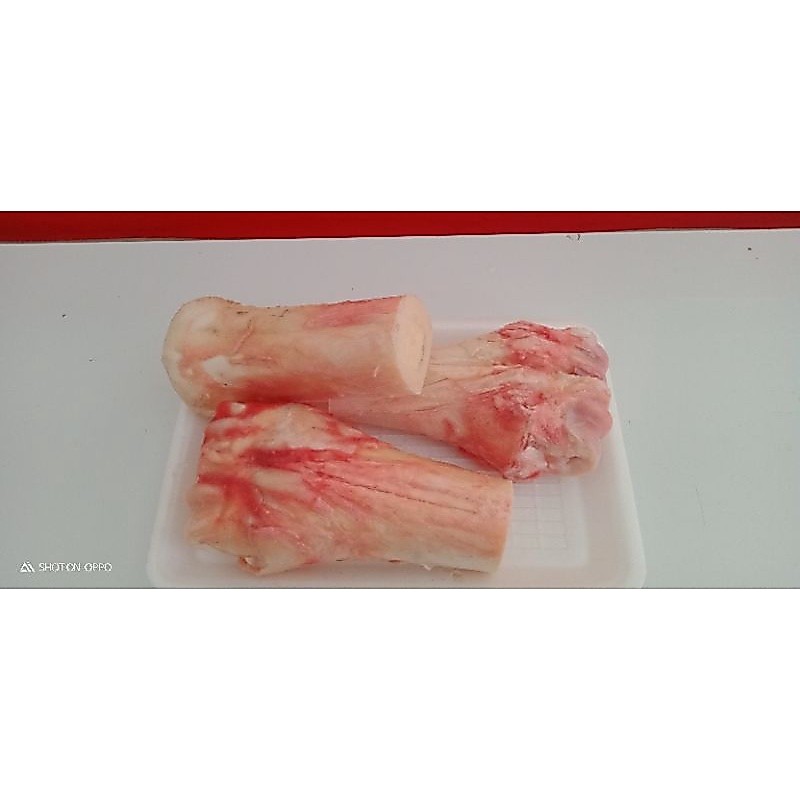 TULANG SUMSUM SAPI / TULANG KALDU KAKI SAPI 1 KG
