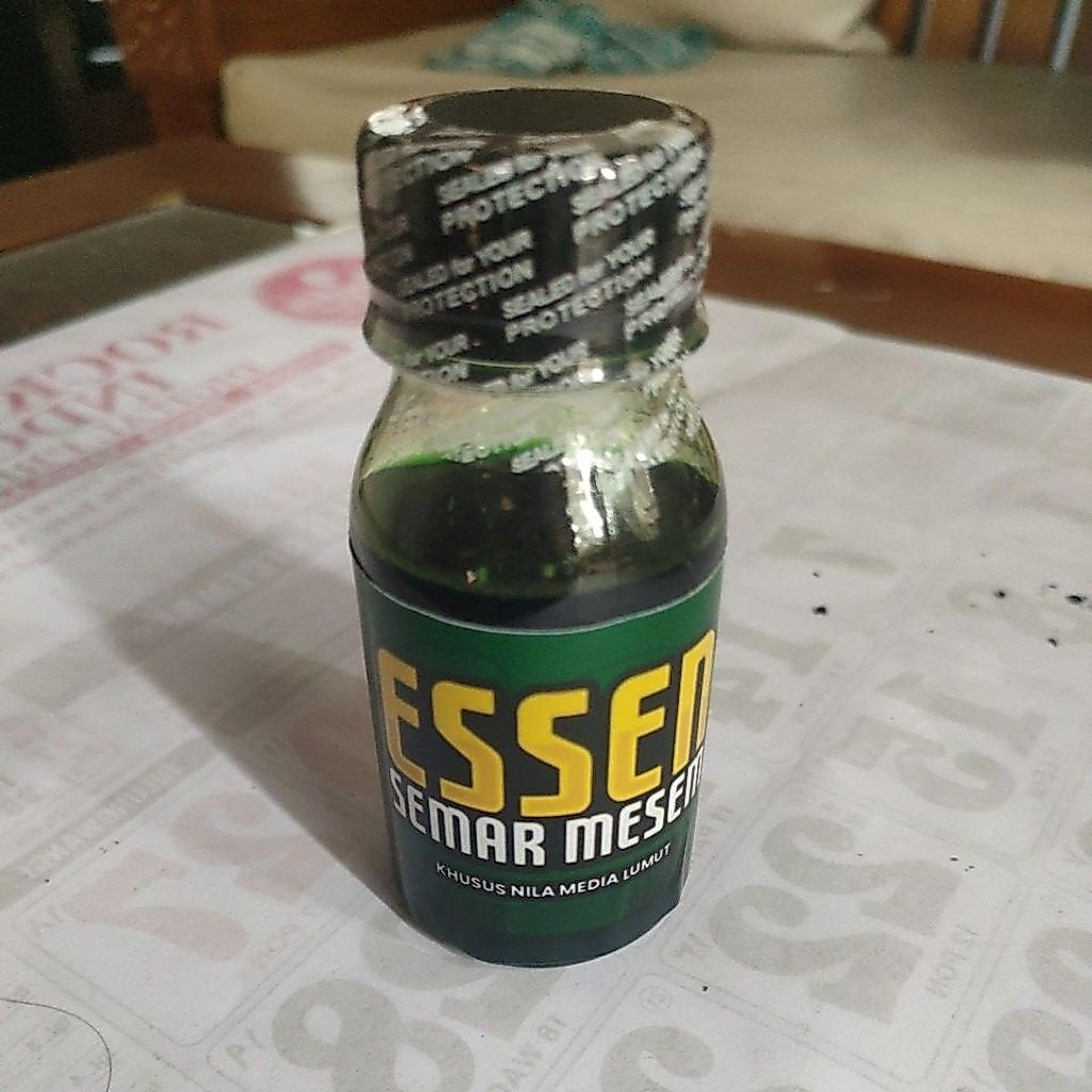 essen Semar mesem varian hijau original