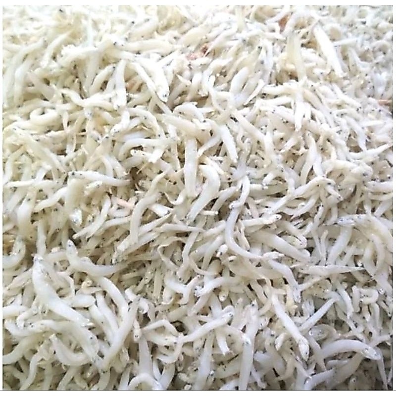 ikan Teri Medan / Teri Nasi / Teri Medan Super / Jamin Segar