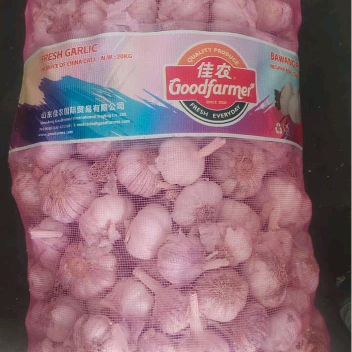 bawang putih banci 20kg
