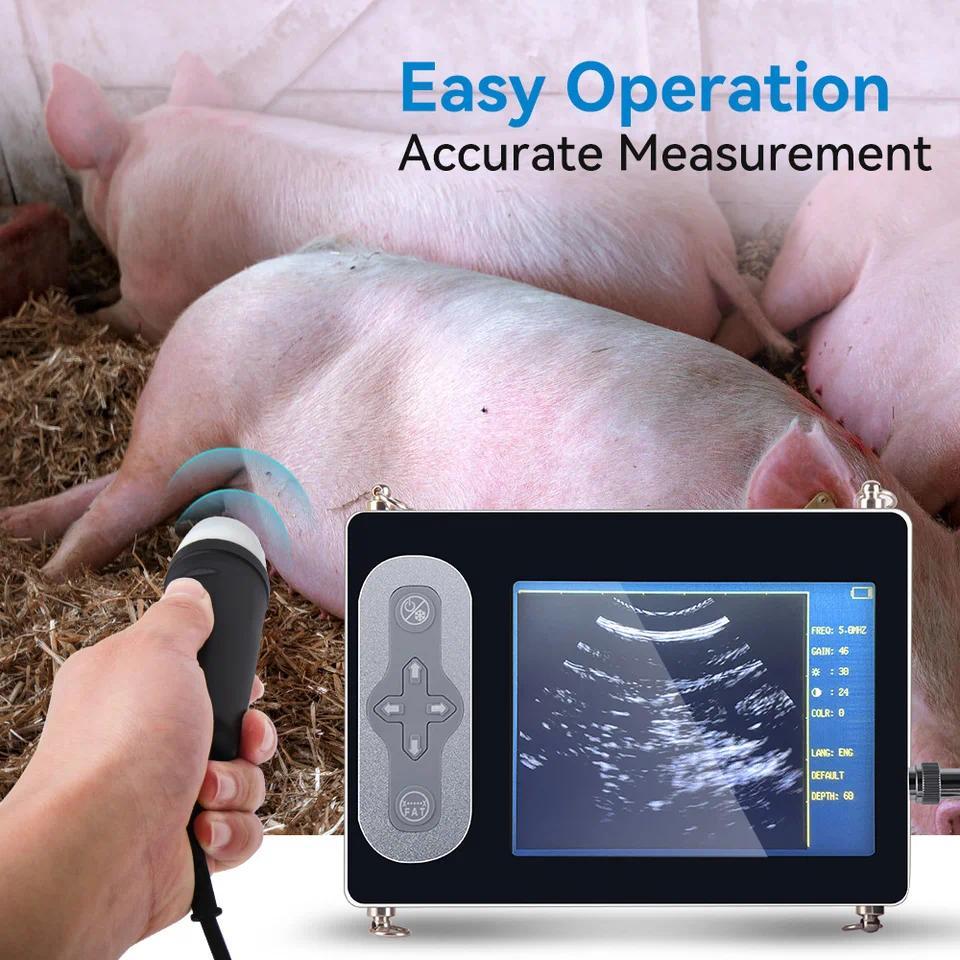Alat USG Hewan Portabel Mesin Ultrasound Cek Kehamilan Kucing Anjing Kambing Kuda Babi Layar Warna
