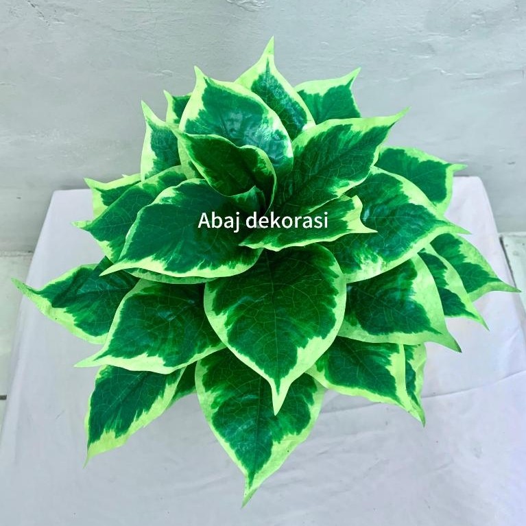 Stok Baru chingfu bonsai- shingfu bonsai- hiasan meja- dekorasi- pohon mini- pohon plastik
