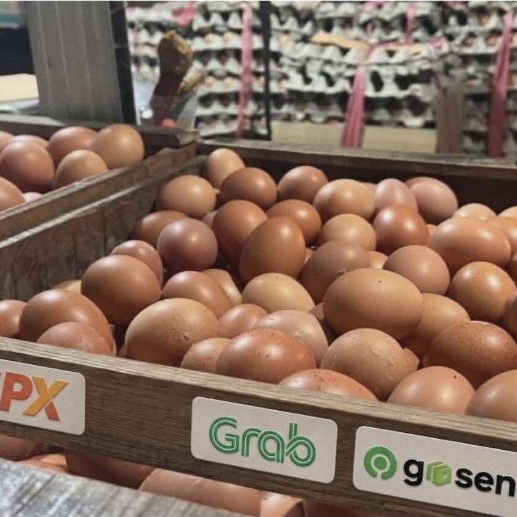 Telur Ayam Negeri 1kg , telur ayam 1kg