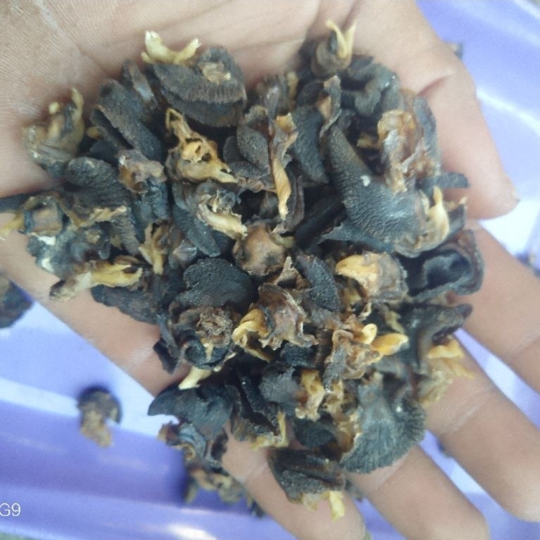 daging bekicot kering/ krecek bekicot harga/110gr siap kirim