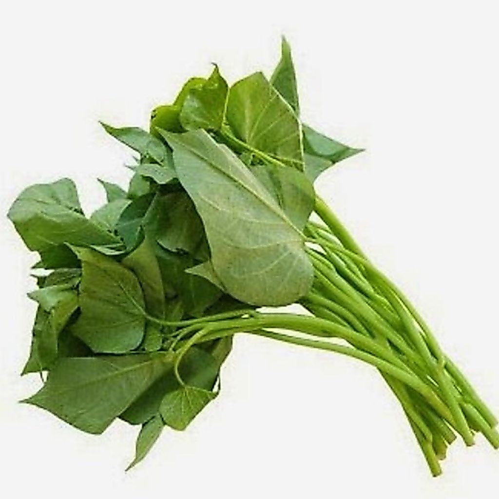 Daun cilembu/andor/ubi jalar