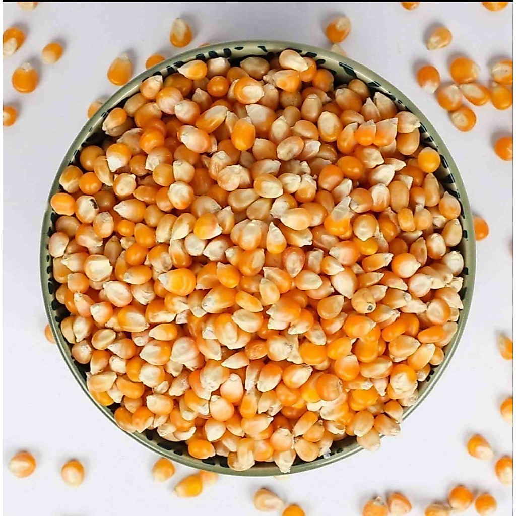 jagung pipil kering