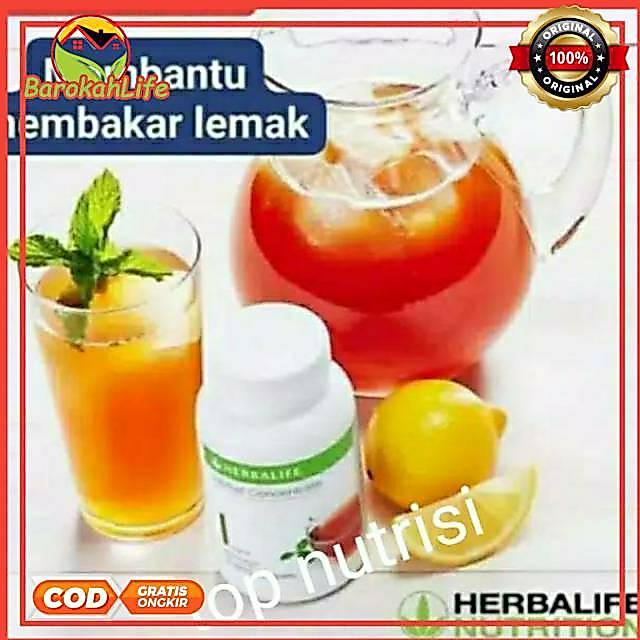 Herbalife Original Herballife tea concentrate  | thermo tea | herballife shake f1 1 Botol Exp 2028