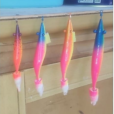 pancing cumi-cumi