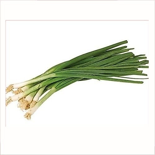 Daun Bawang/Prey | Pasar Induk Pekanbaru #Harga_Grosir
