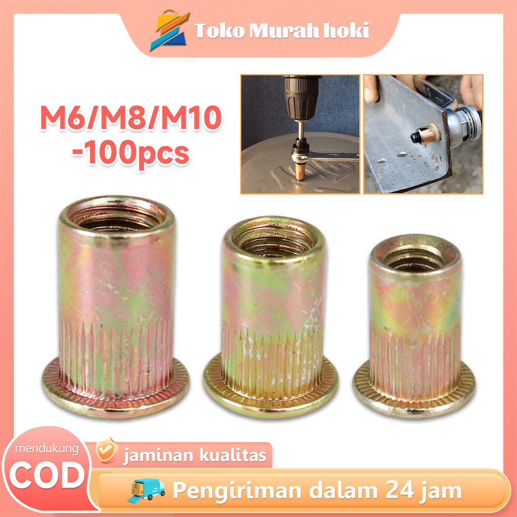 Rivet Nut 100pcs M6 M8 M10 Mur Rivet Nutsert Mur Tanam Carbon Steel Insert Nut