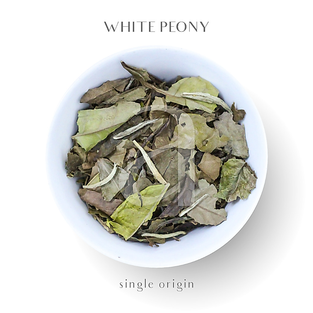 White Peony White Tea  / Teh Putih Premium / Teh Putih Organik / Loose Leaf Tea - Daun Teh Utuh