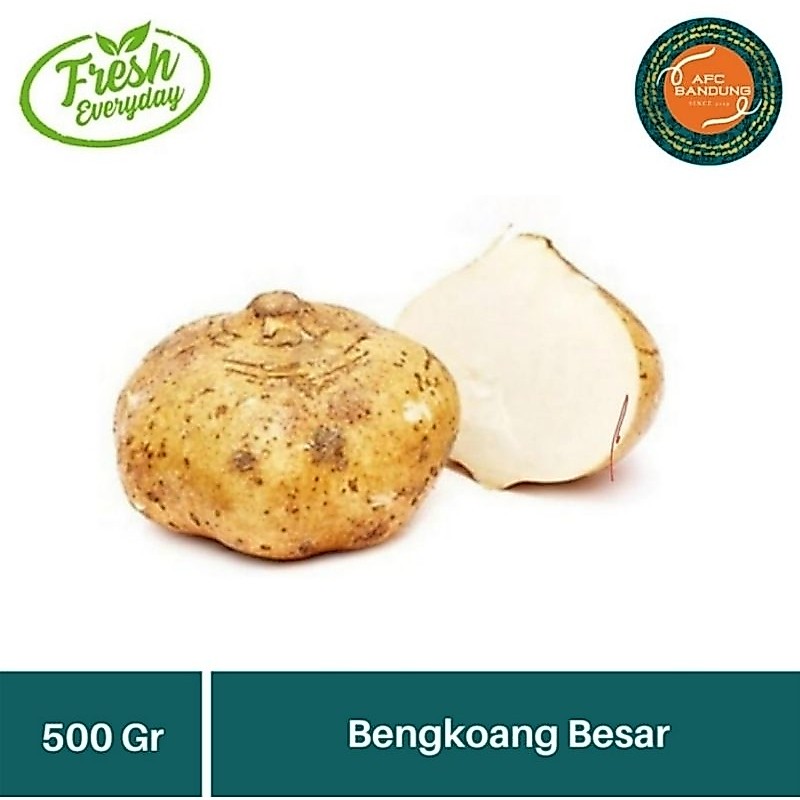 Bengkoang Besar Segar Sayur fresh 500gr