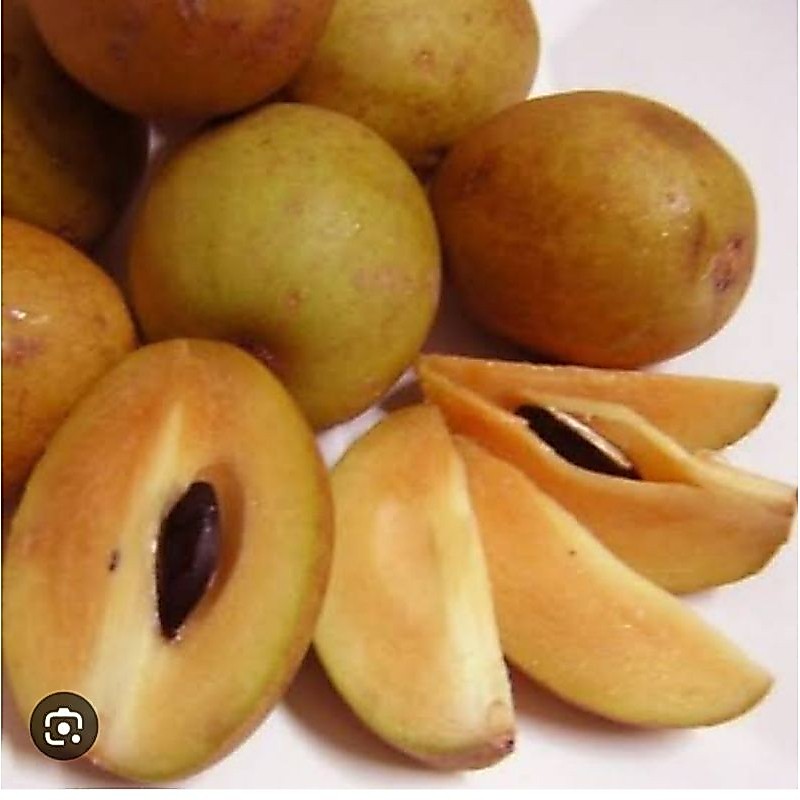 Sawo madu