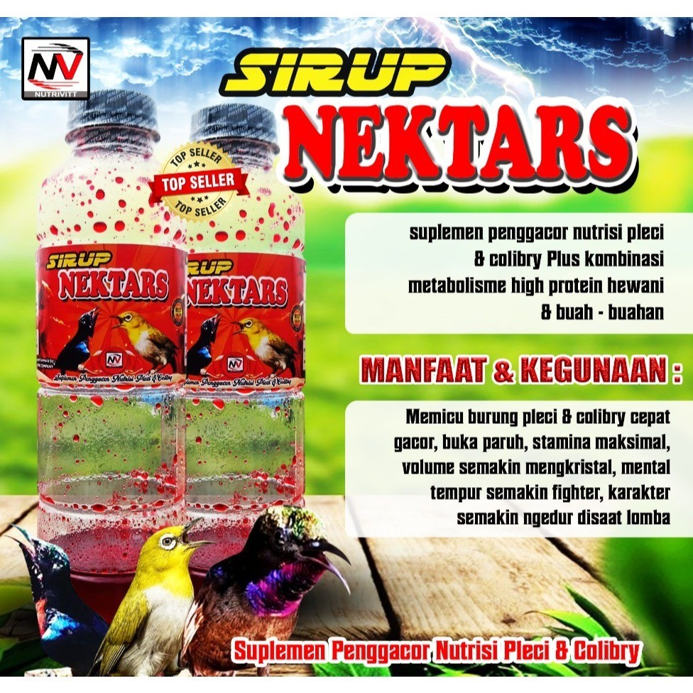 Sirup Nektar Vitamin Burung Pleci Kolibri Menambah Stamina dan Mental Burung
