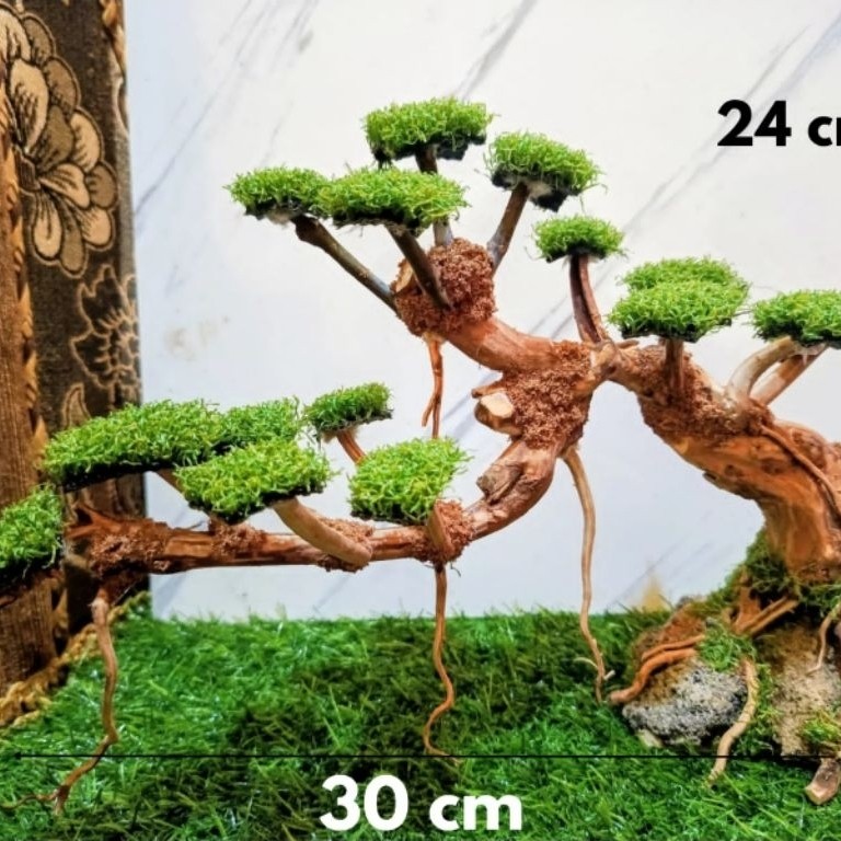 bonsai sintetis aquascape