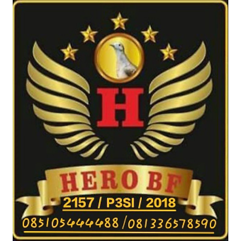PERKUTUT BANGKOK RING HERO 149 USIA DEWASA ADA KITIR SILSILAH BURUNG