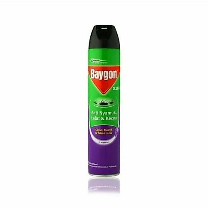 ` baygon aerosol