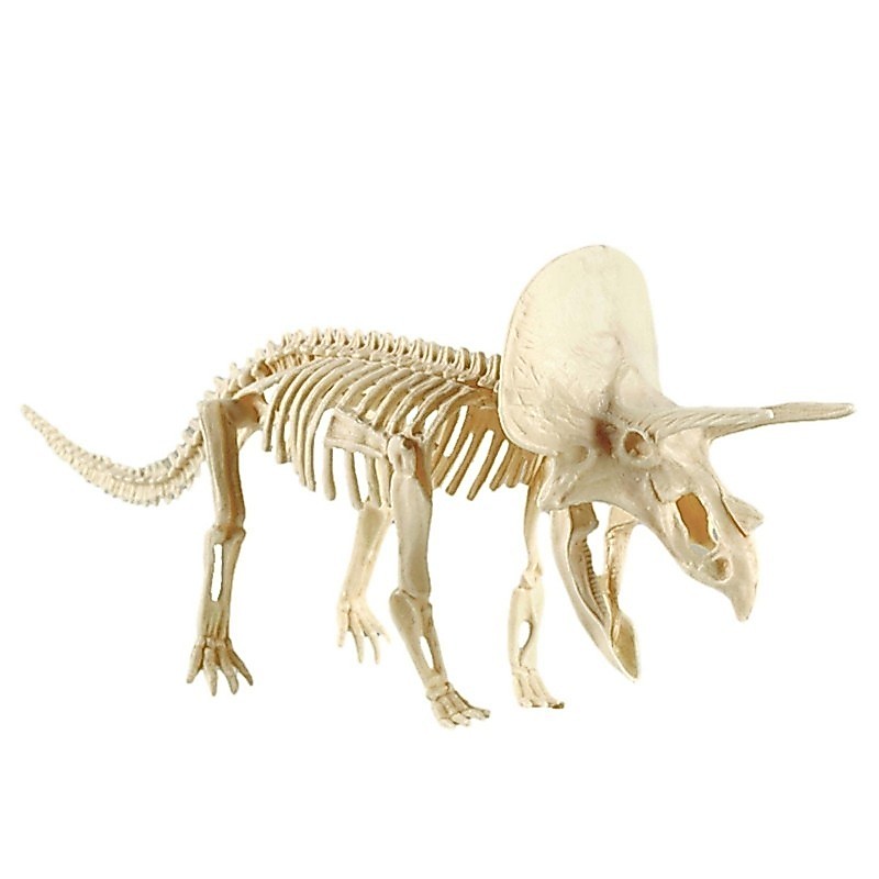1 Set Fosil Dinosaurus Mainan Gali Fosil Arkeologi Mainan Tulang Dinosaurus Anak Education