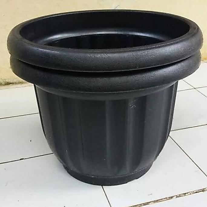 pot diameter 50 cm