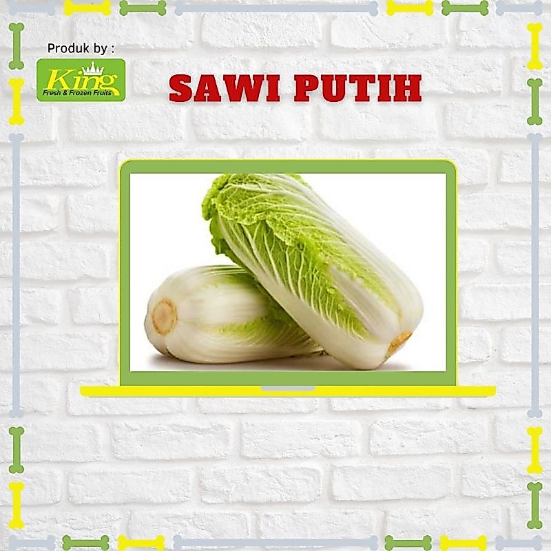 Sayur sawi putih segar, sawi putih, sawi putih fresh