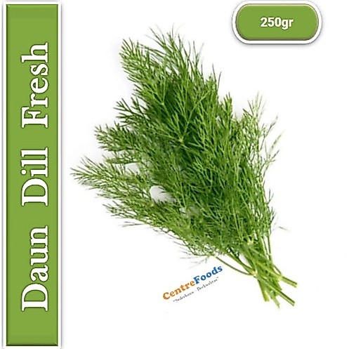 Daun Dill - Adas Sowa Fresh | 250gr [ Harga Per BKS ]
