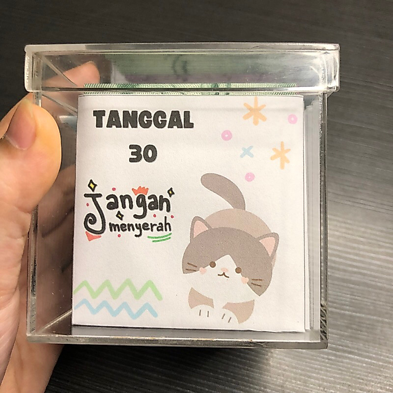 [PRE ORDER 5 HARI] tantangan nabung 30 amplop - Skinada amplop