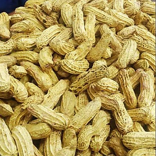 Kacang tanah basah 500gr