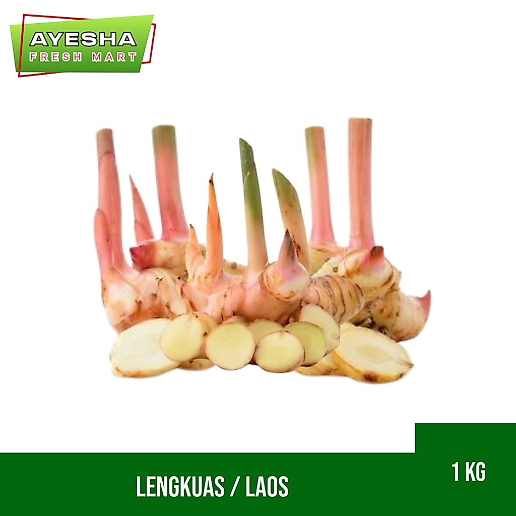 Lengkuas / Laos merah