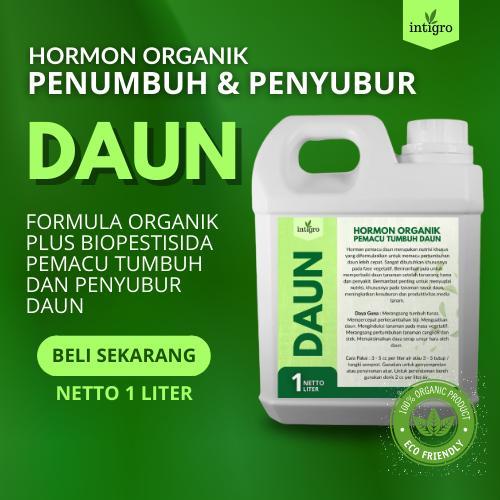 PROMO  Pupuk Daun Cair / Pupuk Daun Cabe Padi Bawang Merah Aglonema / Pupuk Daun Bawang / Pupuk Pera