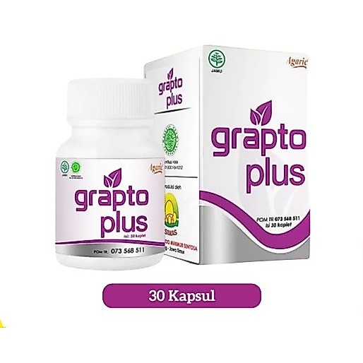 Grapto Plus Original Obat Wasir Ambeien Herbal BPOM