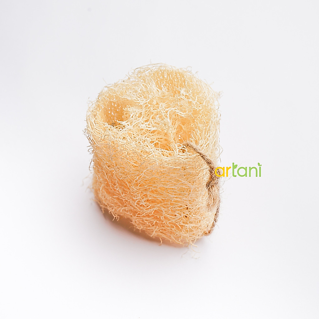 Loofah / Gambas / Oyong Kering Organik / Spons Cuci Alami / Spons Mandi / Natural Sponge