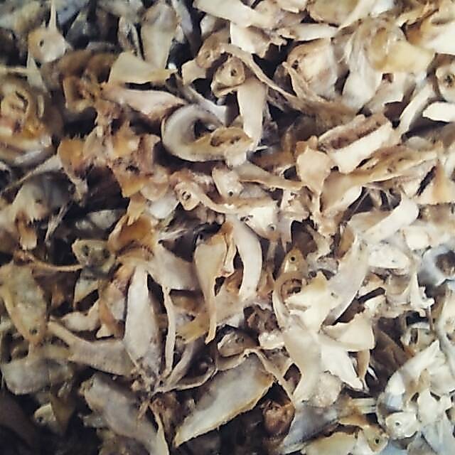 Ikan asin bulu bebek kering GROSIR /100gr