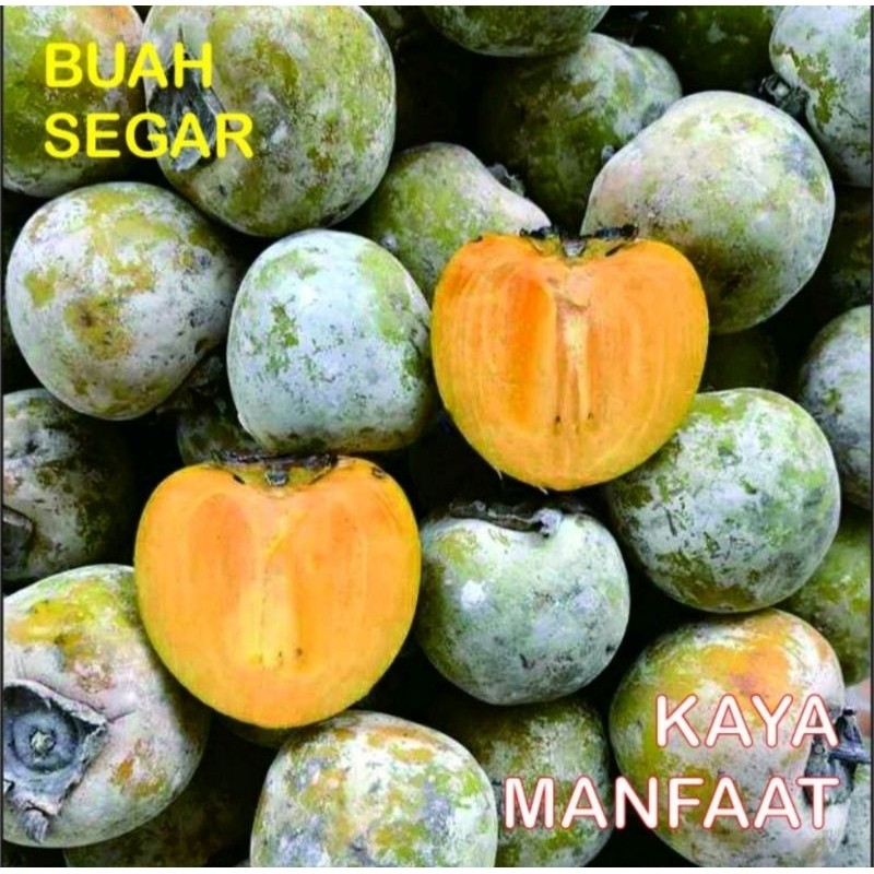 BUAH KESEMEK MANIS segar 1kg / persimmons / tledung /
