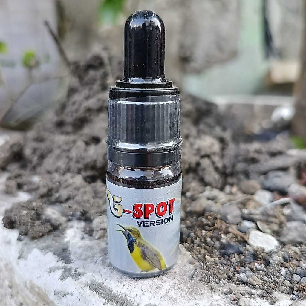 G Spot Metabolis burung vitamin G Spot dosis tinggi pengggacor burung pleci murai batu kacer
