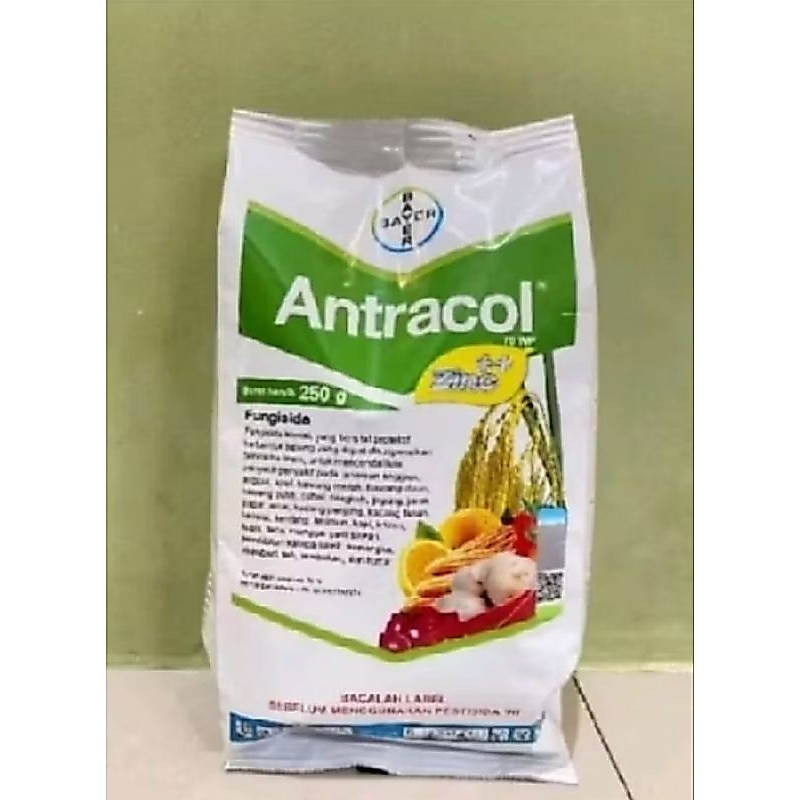 Antracol 1kg