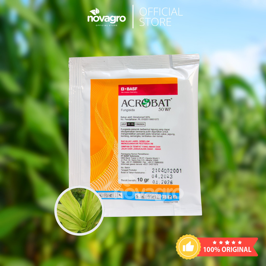 Acrobat 50WP - 10GR