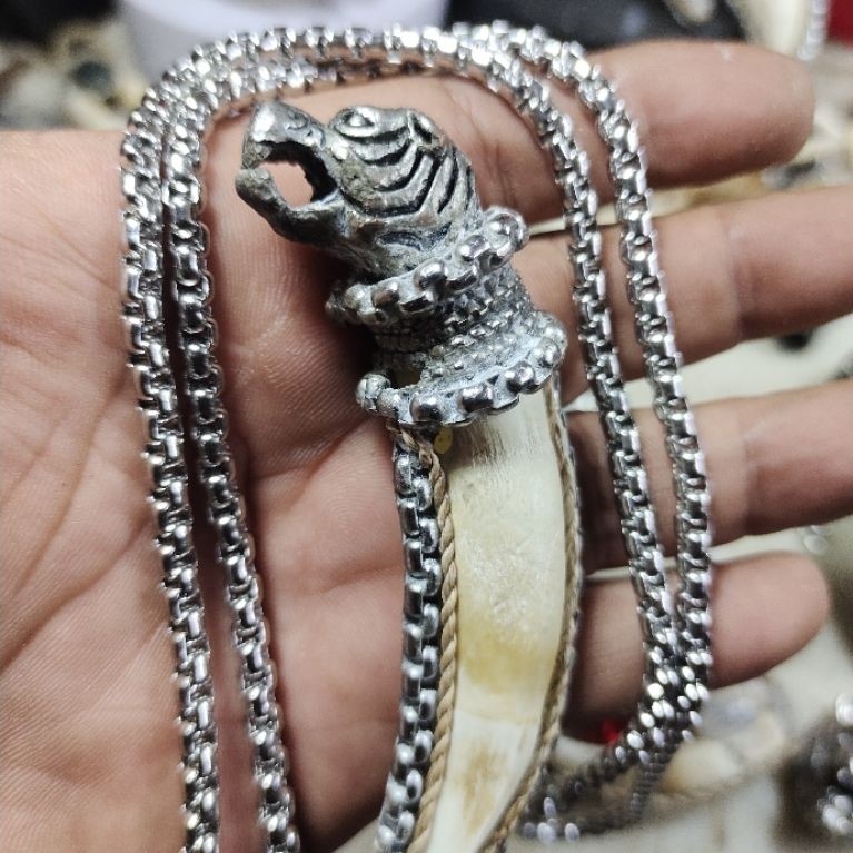 Kalung Rantai Titanium Ring Kepala Macan Liontin Taring Buaya