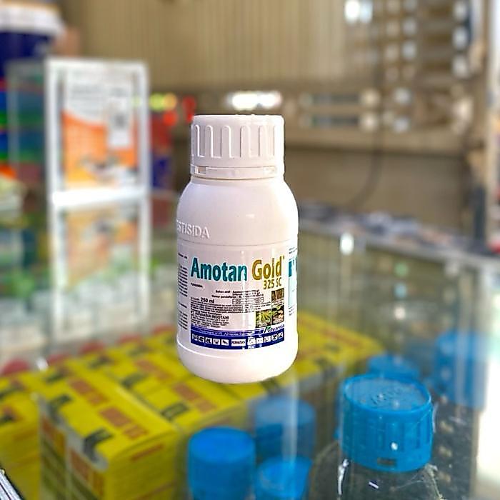 mataharitaman99 Fungisida Sistemik Amotan Gold 325 SC - 250ML - Protektif & Kuratif Azoksistrobin