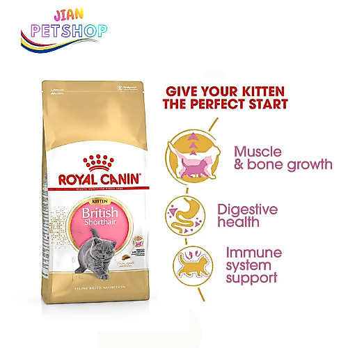 ROYAL CANIN BRITISH SHORTHAIR KITTEN 400gr / BRITISH SHORTHAIR KITTEN