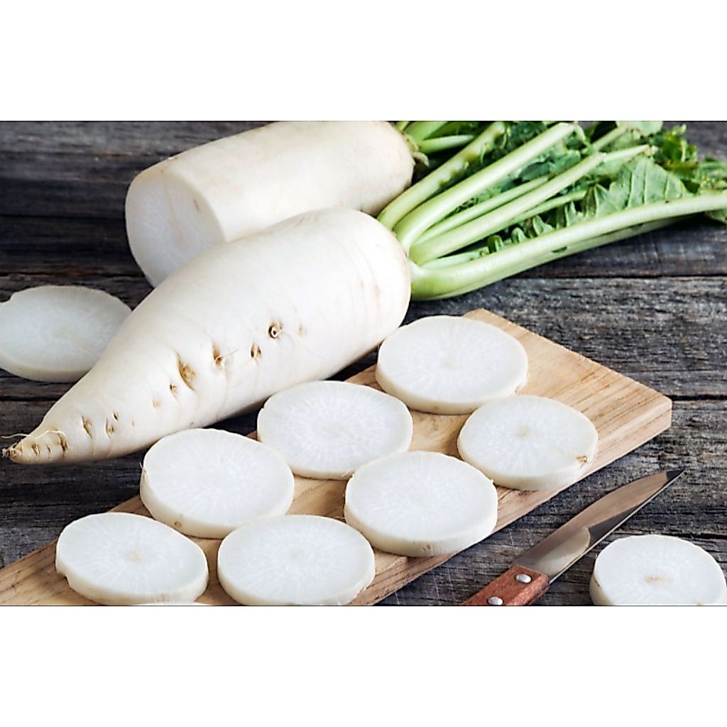 lobak putih lobak daikon lobak jepang